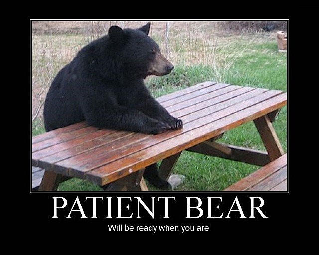 patient_bear-3.jpg
