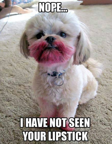 Dog Lipstick.png