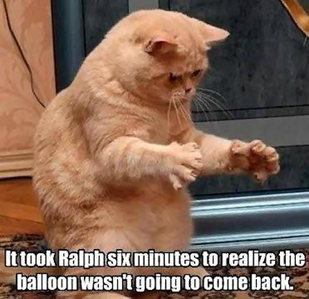 cat baloon.png