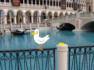 Cody in venice.png