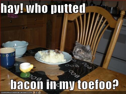 LOLMouser - Bacon Tofu.jpg