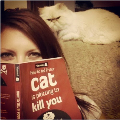 How to Tell if Your Cat is Plotting to Kill You.jpg