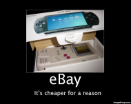 ebay_its_cheaper_for_a_reason.jpg