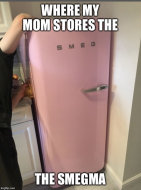 Mom found the smegma fridge.jpg