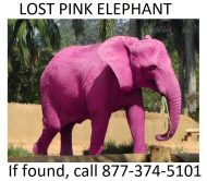 Pink elephant.jpg