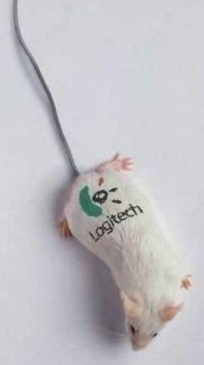 com logitech mouse.png