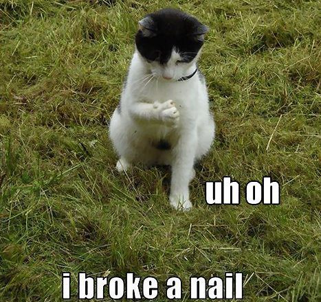 cat Broken Nail.png