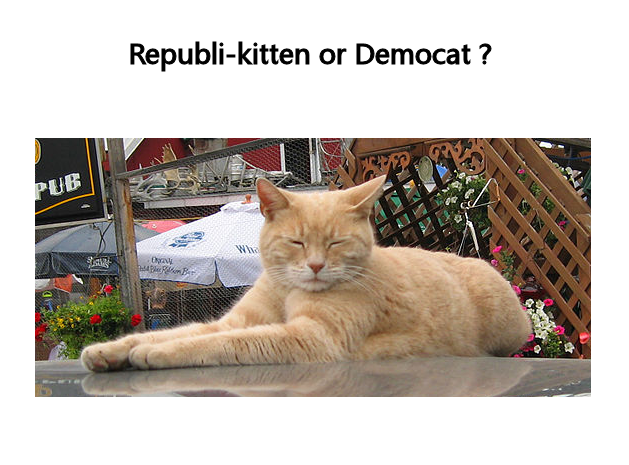 trump this kitty.png