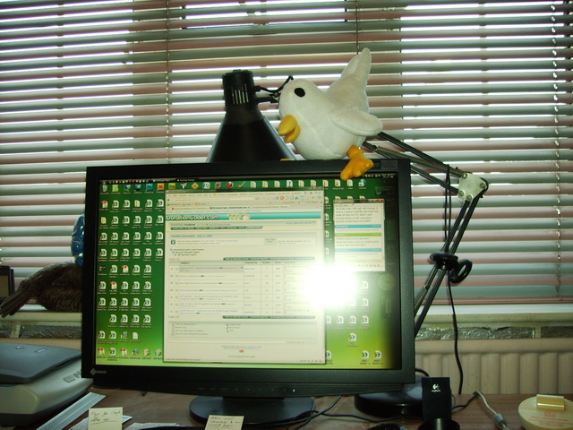 01-monitor-perch.JPG