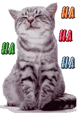 Laughing Cat 3.gif