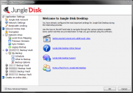 JungleDiskConfigurationScreen1.png
