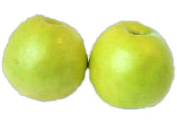 2apples.png