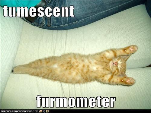 LOLMouser - Tumescent Furmometer.png