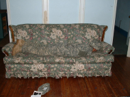 Digital Camouflage Blends In With Floral Couches.jpg