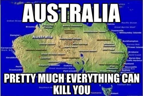 Meanwhile in Australia.jpg