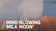 Epic Video of a Massive 'Milk Moon' Looks Fake, But is Totally Real.jpg