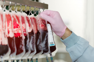 Bacteria can be used to turn type A blood into universal type O.jpg