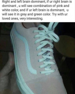 This Sneaker Photo Is Going Viral Because Everyone Thinks It Reveals If They're Left Or Right Brain Dominant.jpg