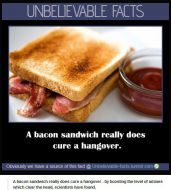 A bacon sandwich really does cure a hangover.jpg