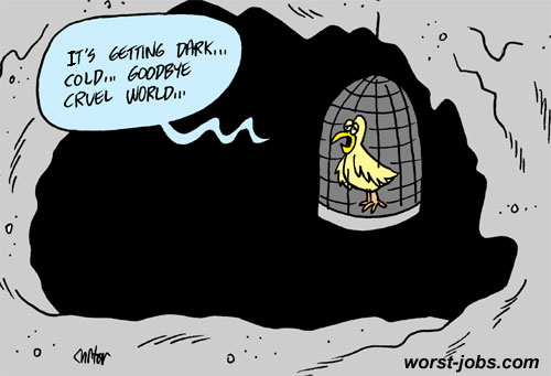 canary in a coal mine.jpg