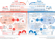 political-parties-left-right.gif
