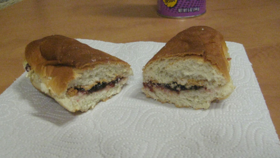 Candwich sandwich-in-a-can.jpg