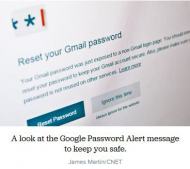 Google patches Password Alert after flaw exposed.jpg
