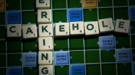 Scrabble dictionary adds ridic list of new words.jpg