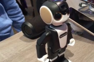 First look at RoBoHon - world's first robot smartphone.jpg