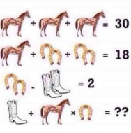 This simple horse algebra question has left the internet baffled – but can YOU solve it (21).jpg