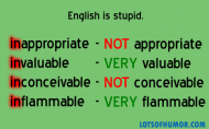 english-is-stupid-inflammable.png