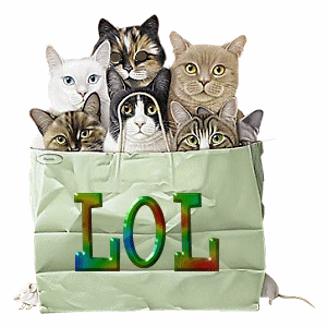 Laughing Cats 4.gif