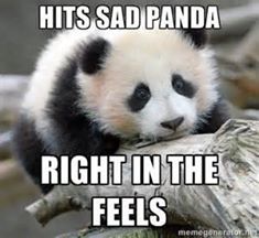 Sad Panda - Right in the Feels.jpg