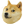 dogeicon.png