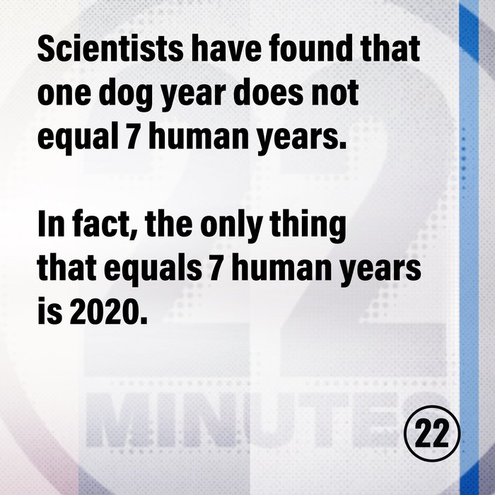 dog_year_human_year_2020.jpg