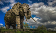 Der etwas andere Elefant by ellen-ow.jpg