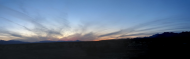 03-29-20 Winged sunset.jpg