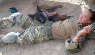 Belgian Shephard War Dog.jpg